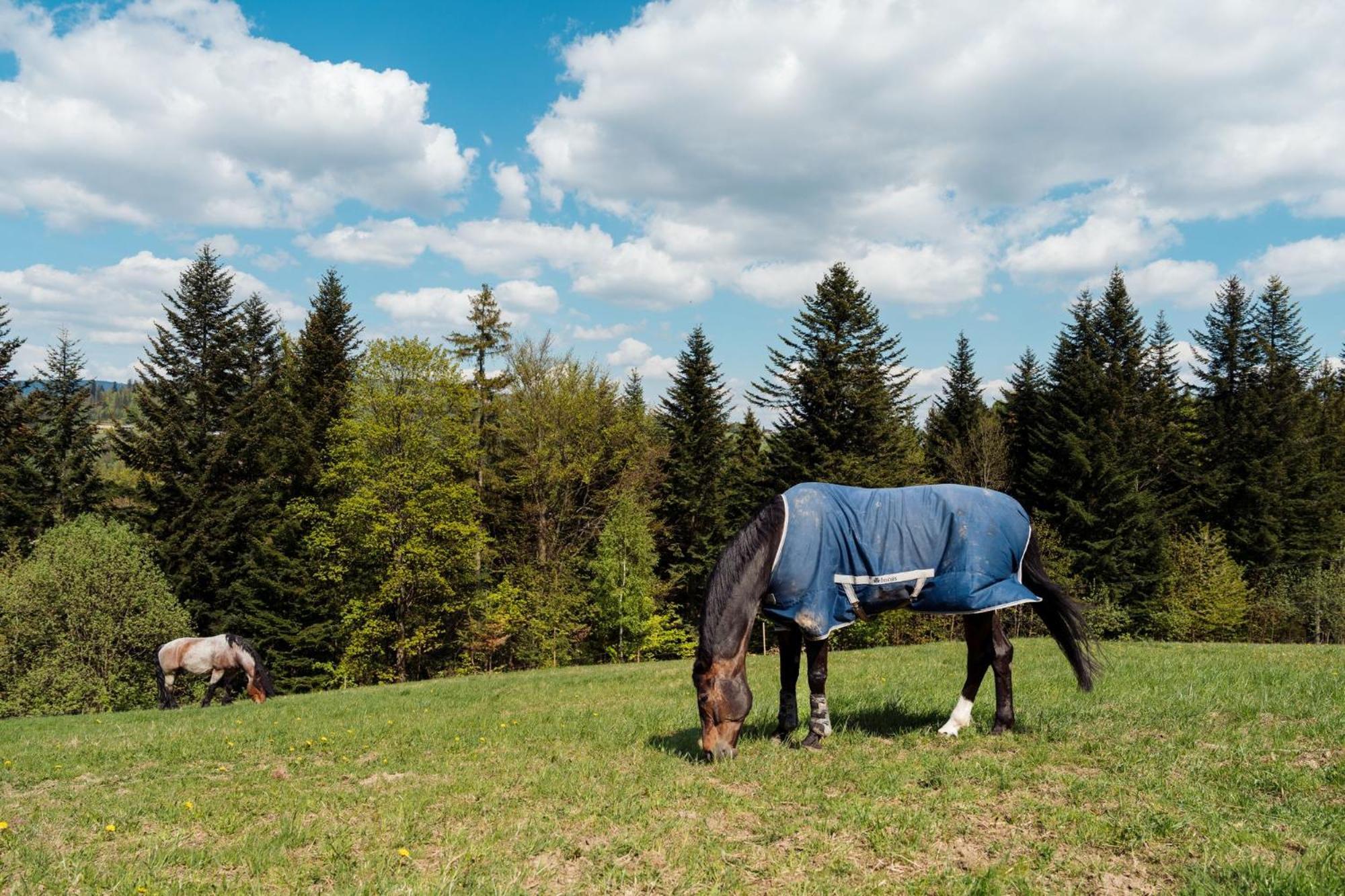 Swierkowe Chatki W Koniakowie Esterno foto